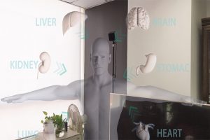 HoloLens药理展示